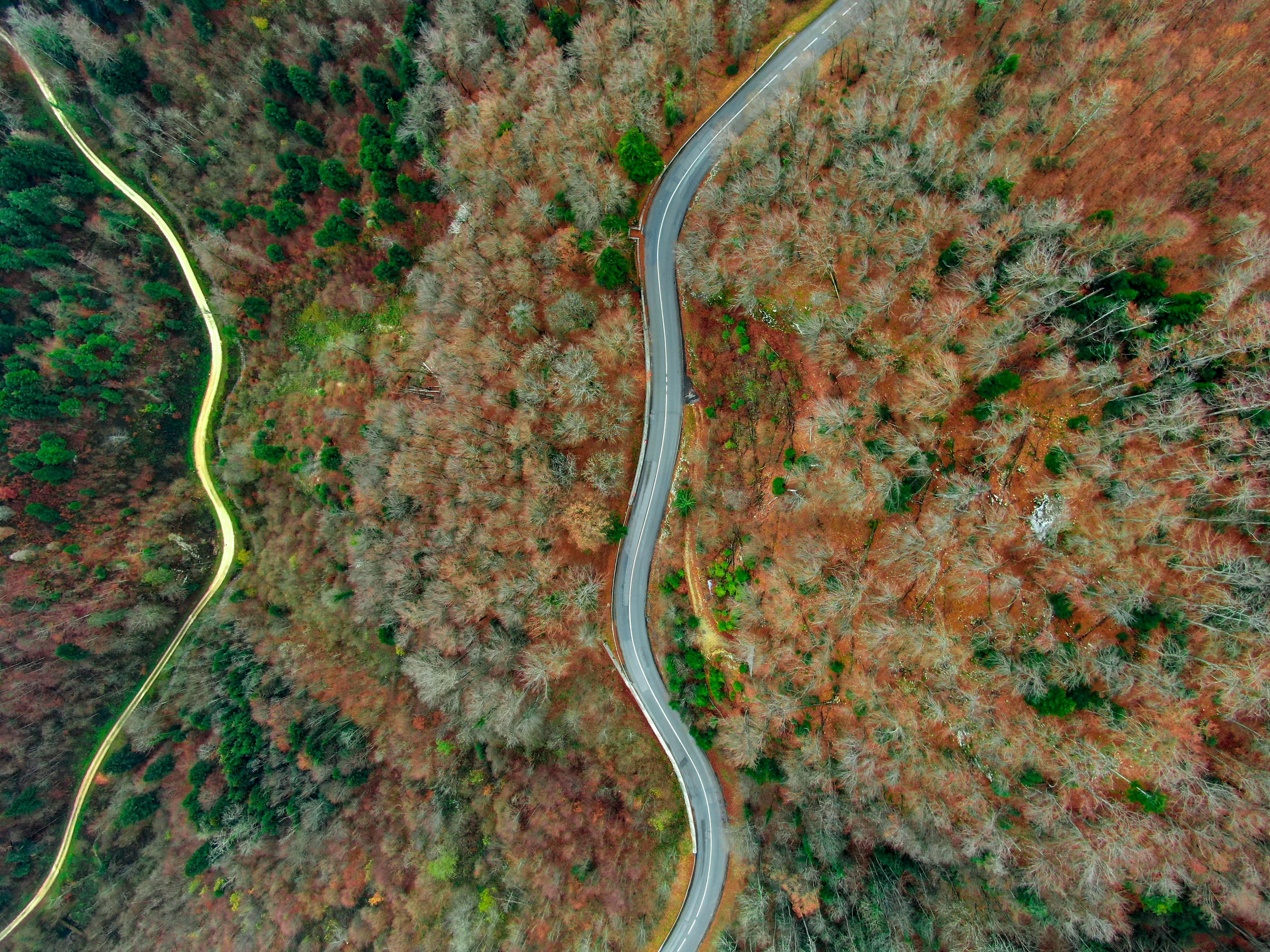 The path forward